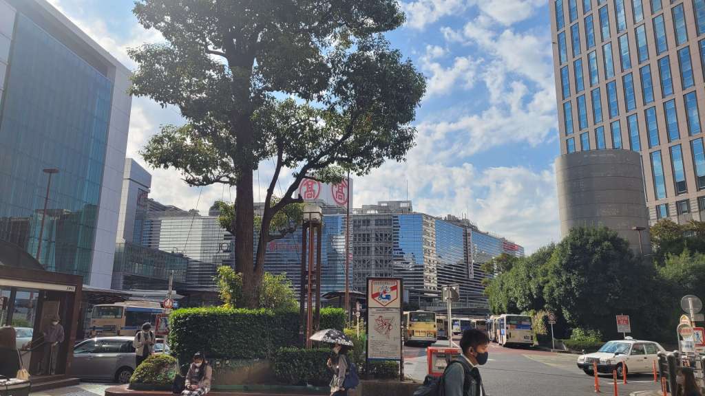 Arrival and Move&nbsp;In